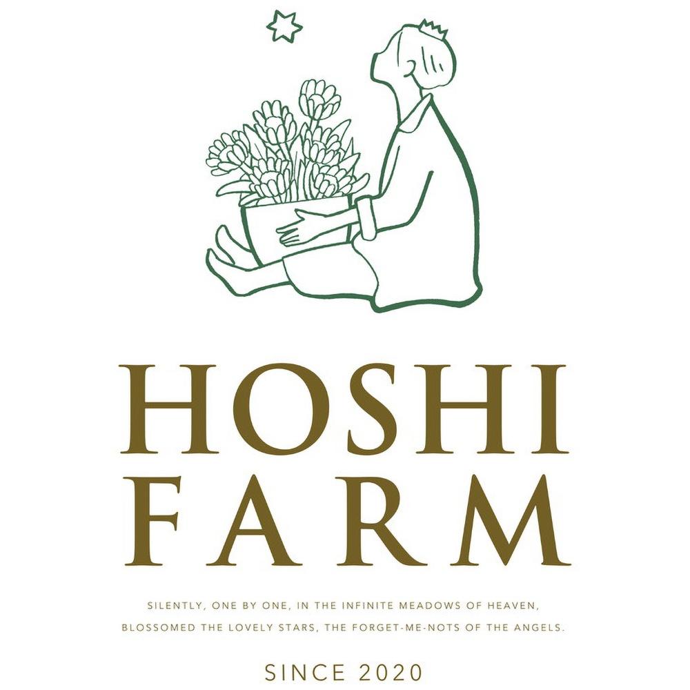 ホシファーム 届いた姿でそのまま飾れるスタンディング薔薇ブーケ ピュア8本