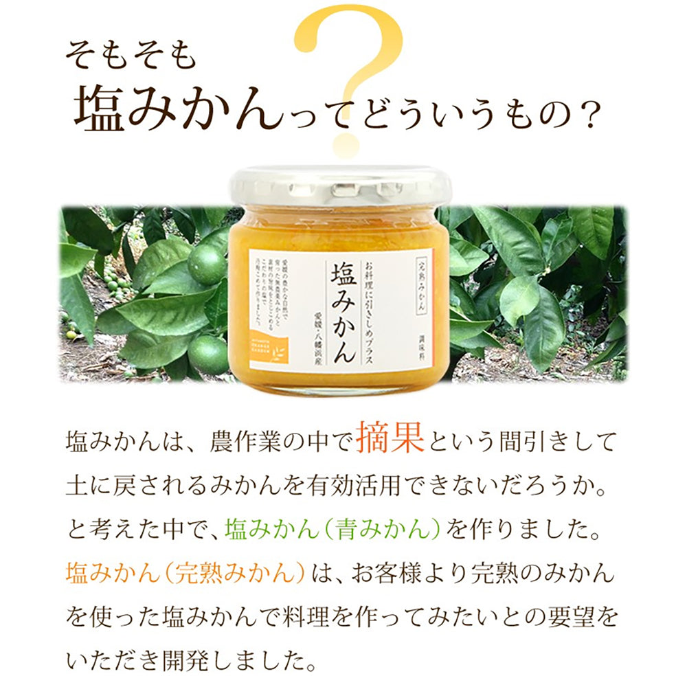 「ミヤモトオレンジガーデン」調味料 塩みかんギフトセット