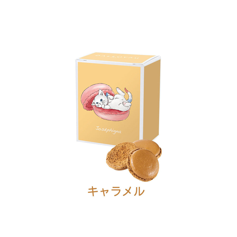 1802年パリ創業 ダロワイヨ ニャカロンラスク 3個セットB