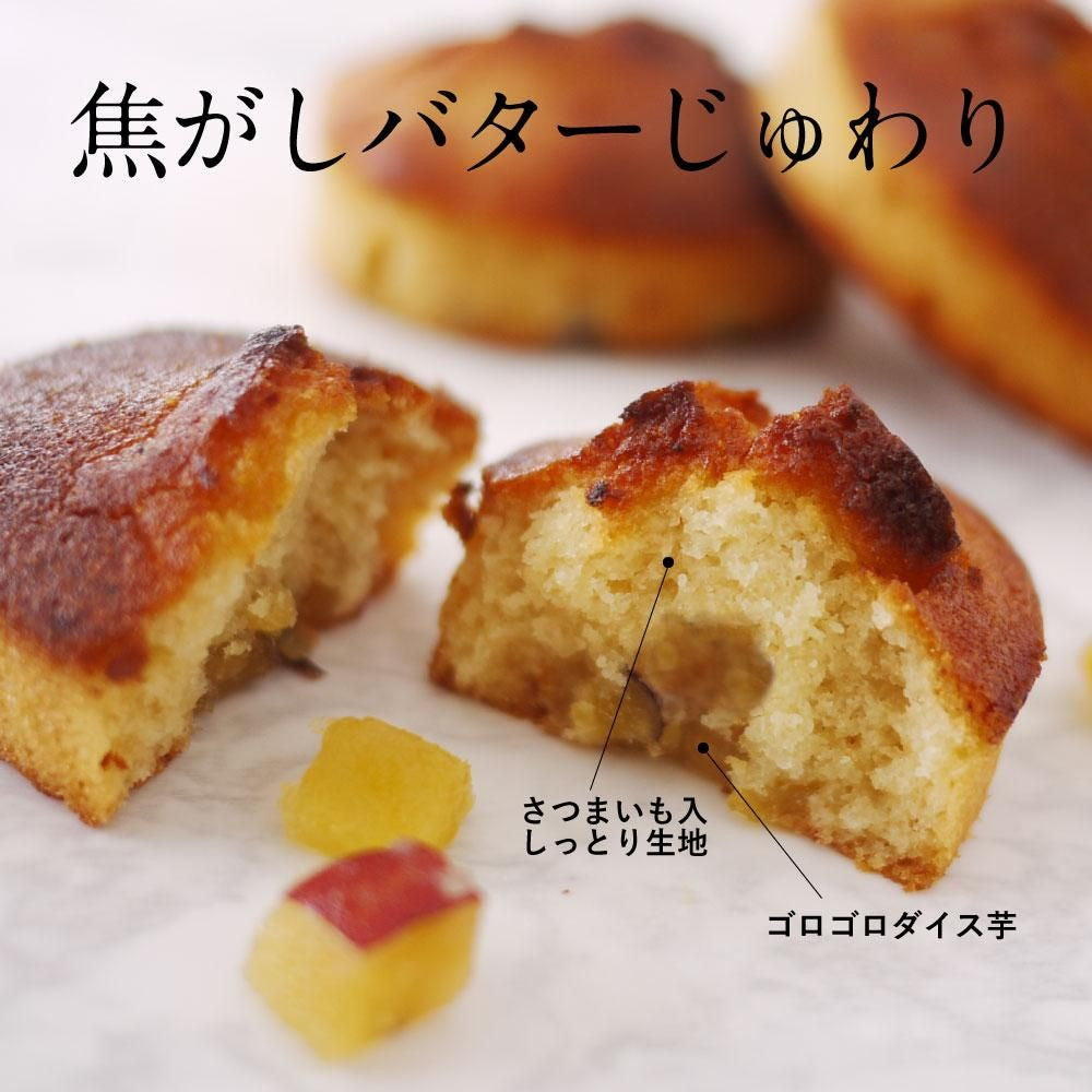 生スイートポテト専門店 「OIMO」 フィナンシェ10個