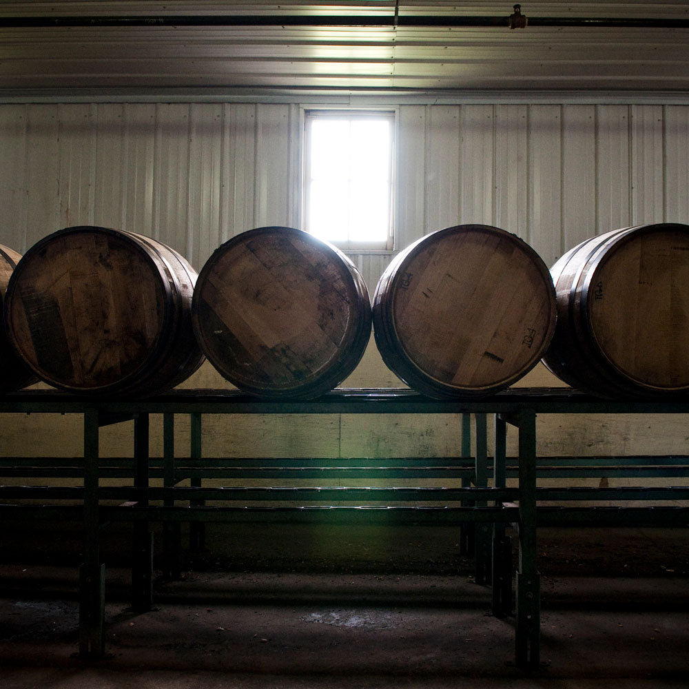 WILD TURKEY(ワイルドターキー)8年(12本)