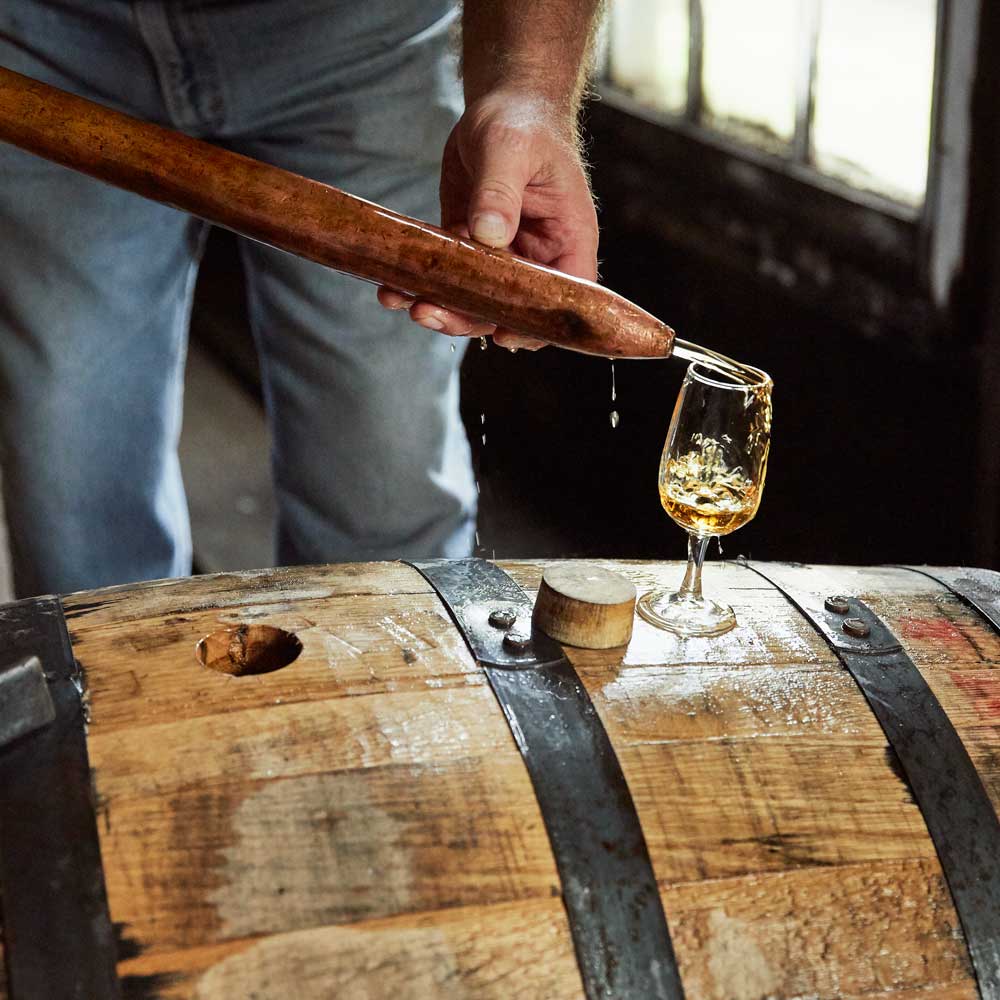 WILD TURKEY(ワイルドターキー)8年(12本)