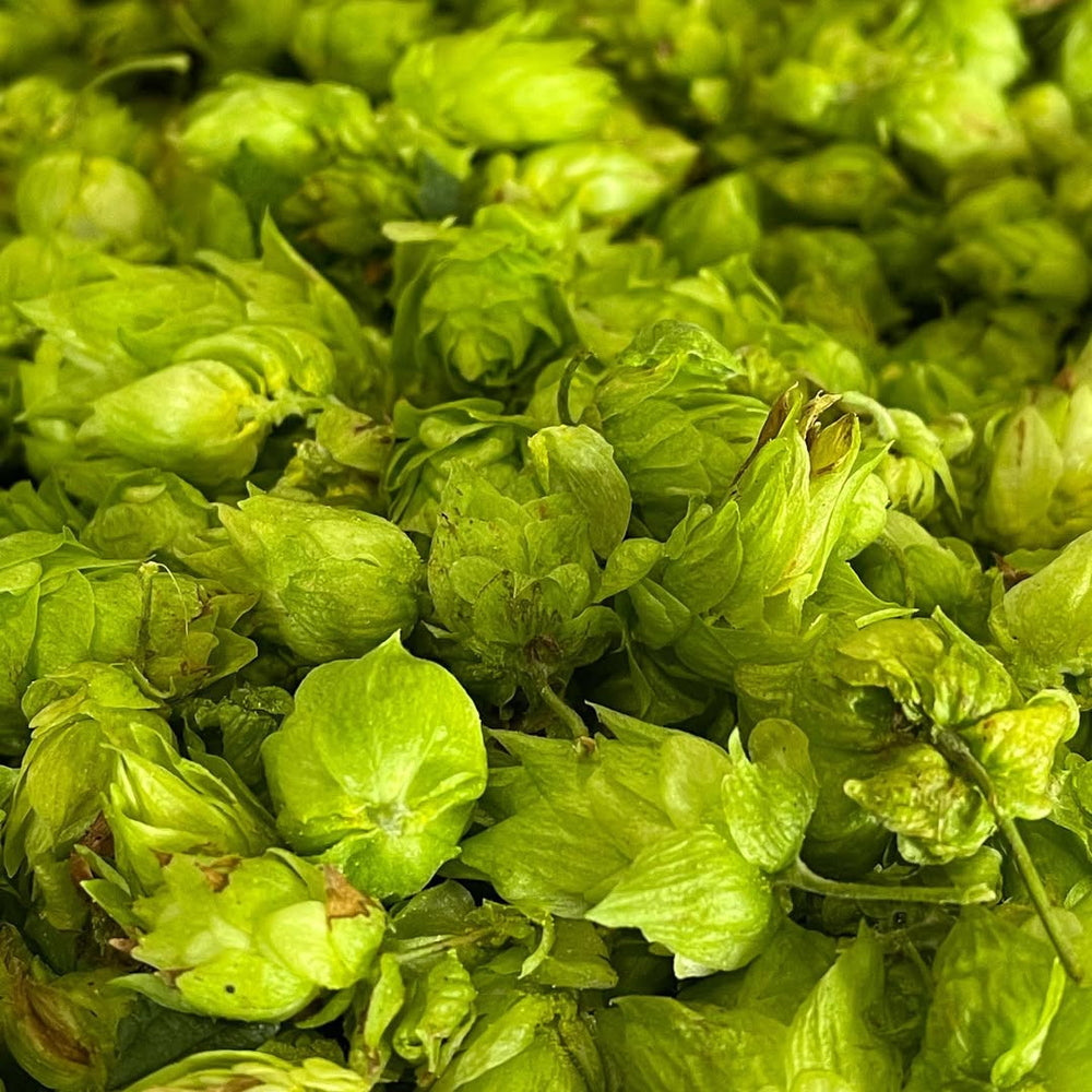 多摩川源流生まれのクラフトビール ファーイーストIPA 350ml 24本