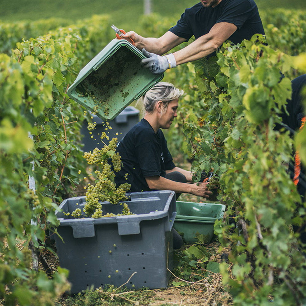 モエ・エ・シャンドン ロゼ・アンペリアル 200ml