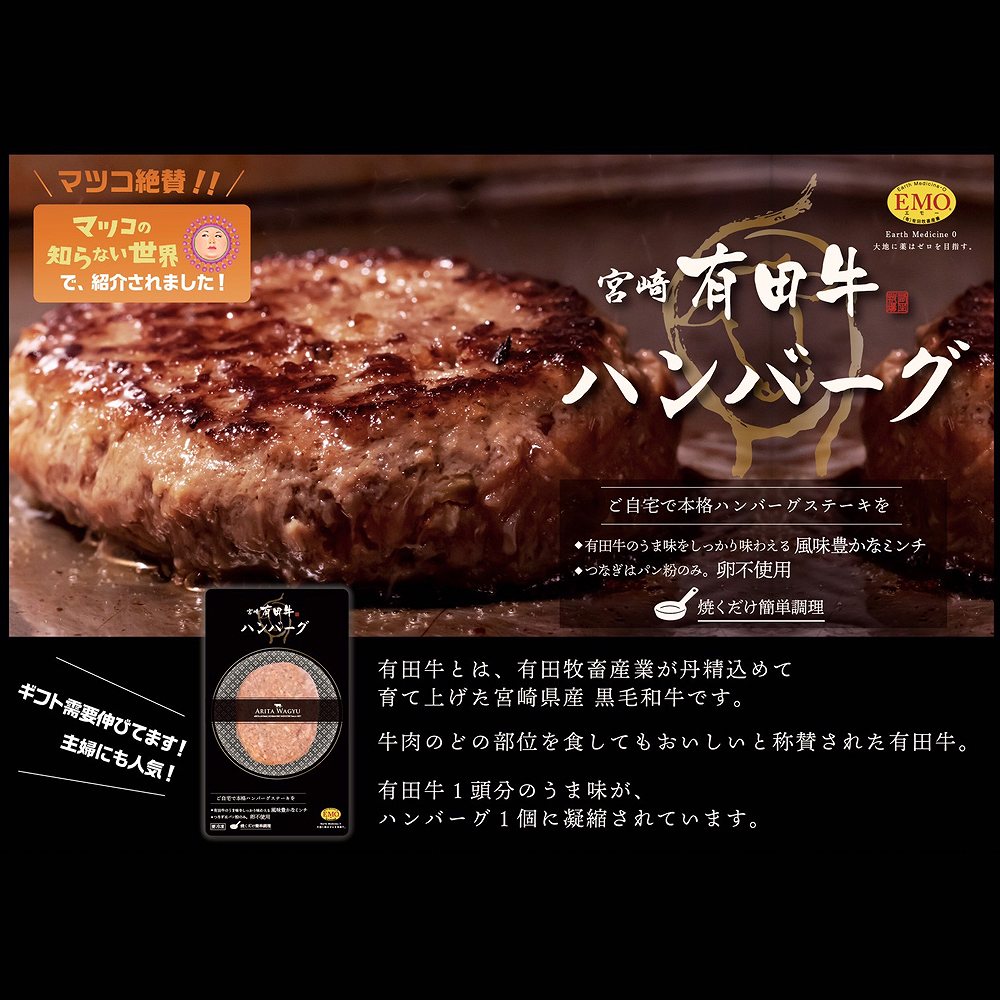 宮崎県産 有田牛 ロースステーキ＆ハンバーグセット