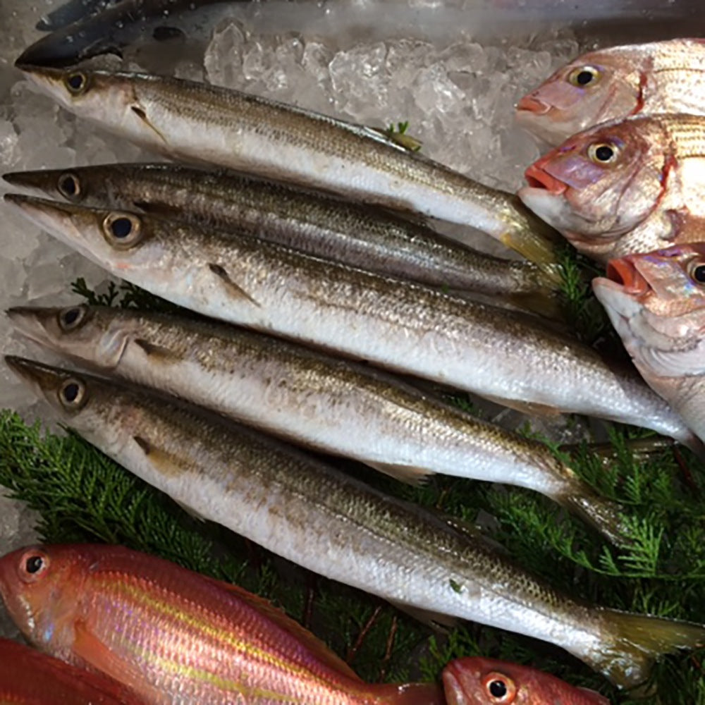 出水田鮮魚　干物セットA