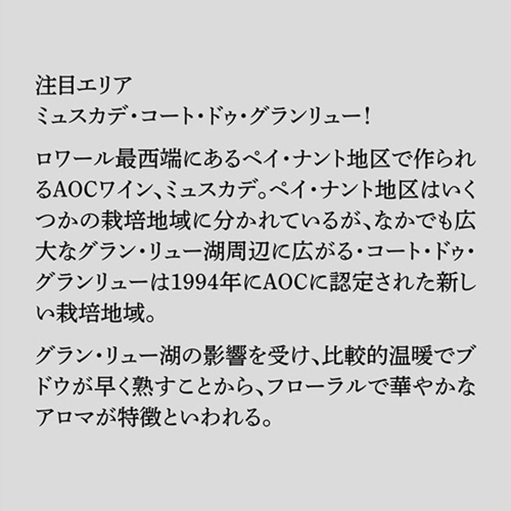 熟成ミュスカデ オー ブール 白ワイン3本詰め合わせ【クール便】