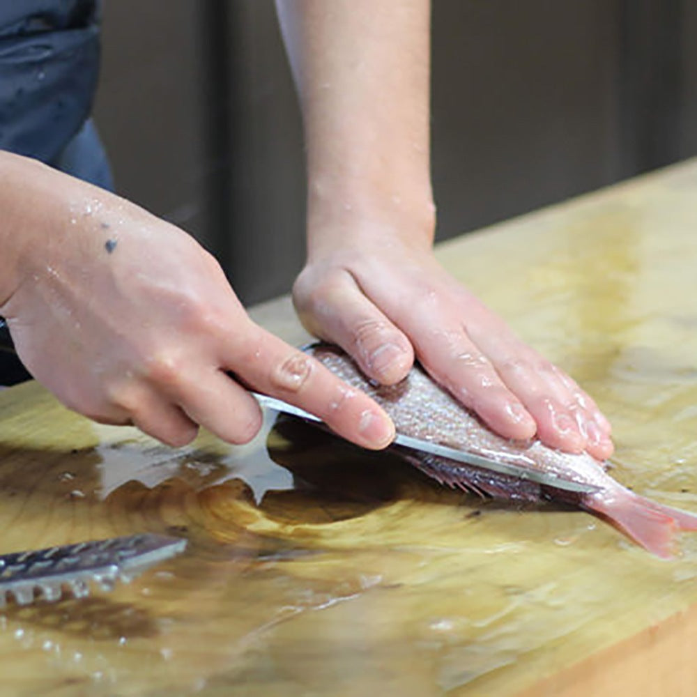 出水田鮮魚　干物セットB