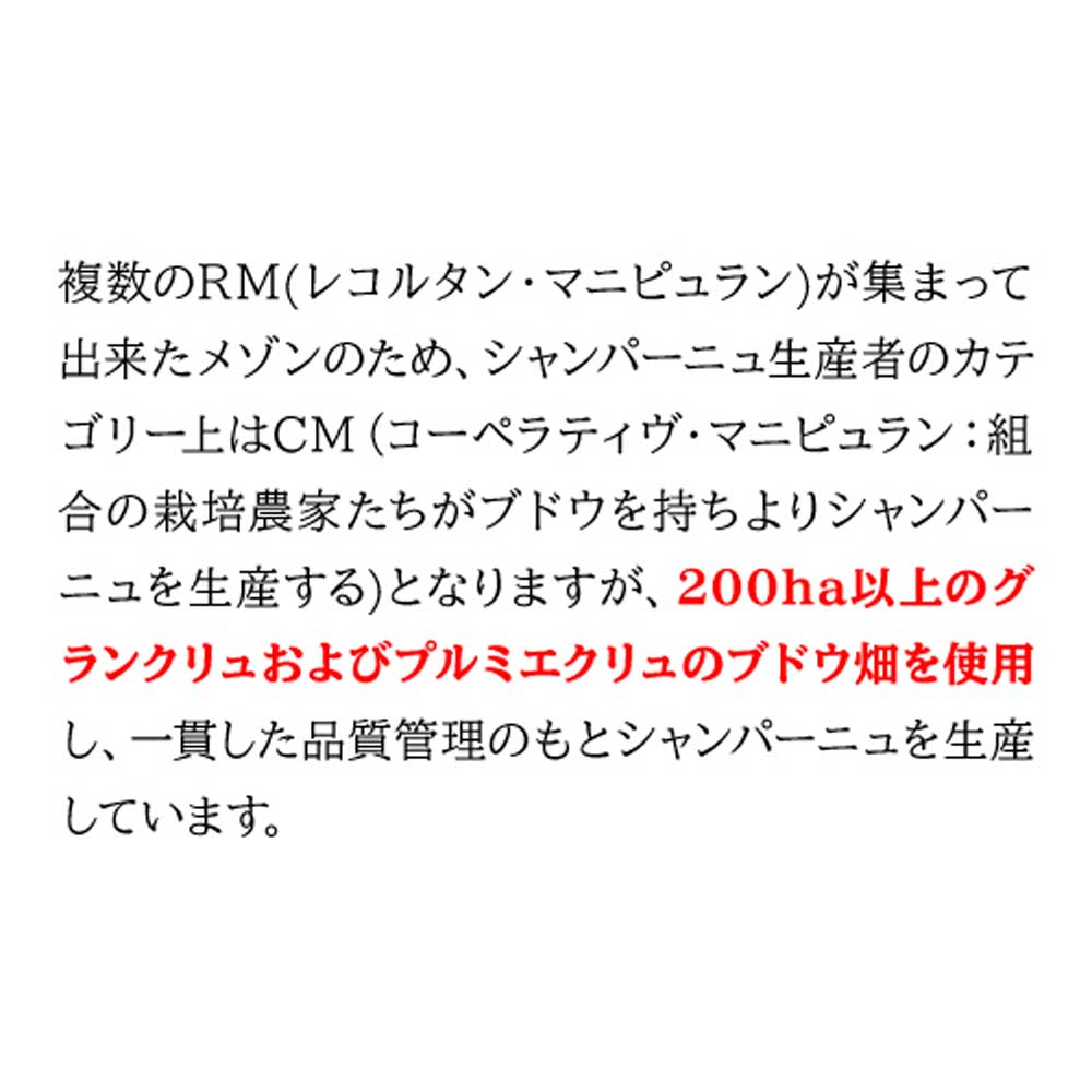 シャンパーニュ パルメ 2本セット【クール便】