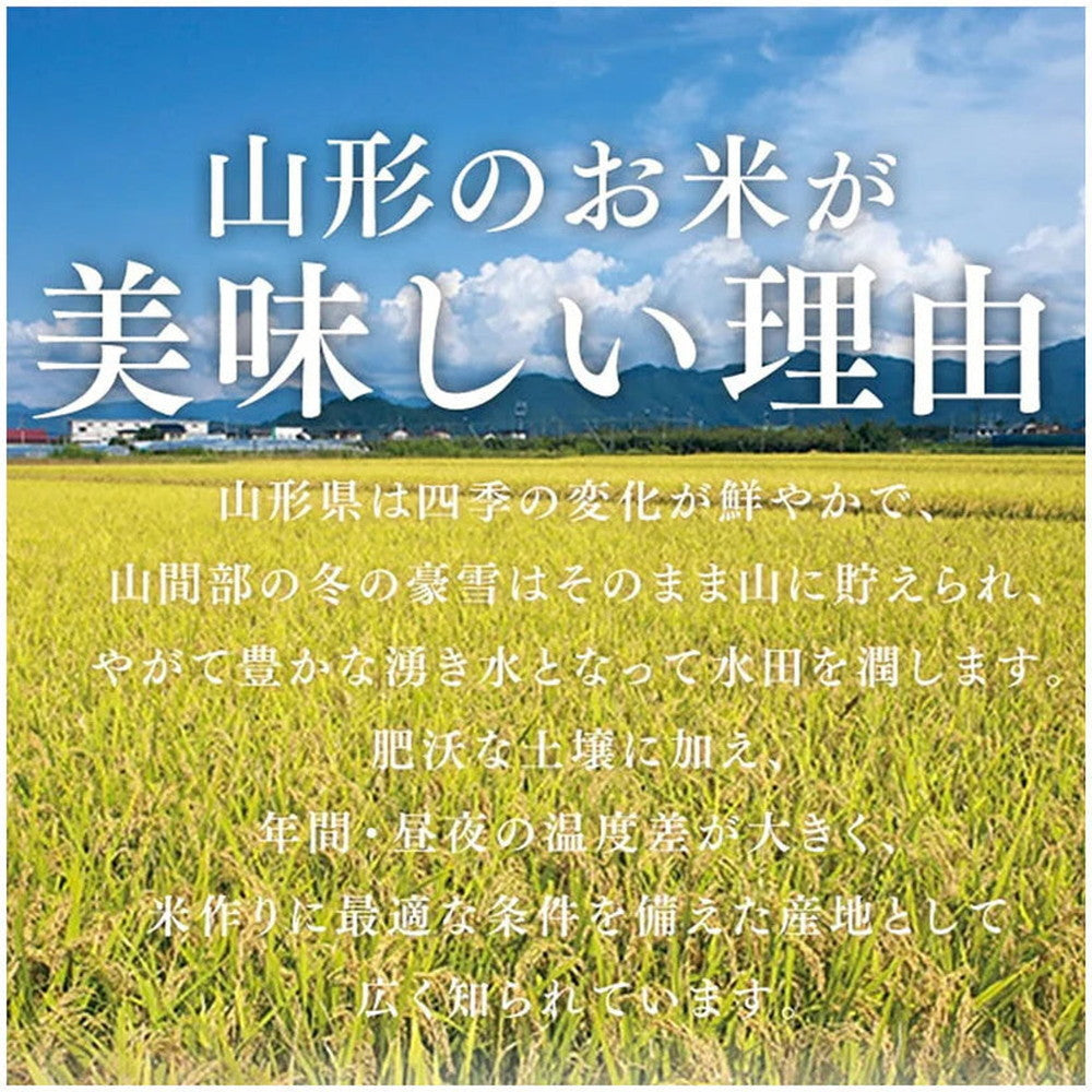 山形県産あきたこまち 5kg(2袋)