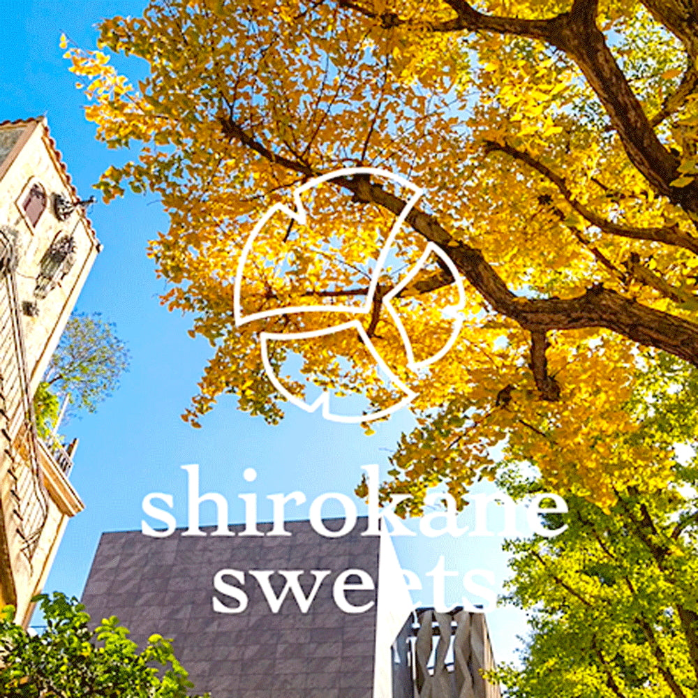 shirokane sweets TOKYO 白金クッキー（ショコラ）