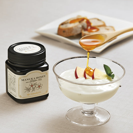 イワタニ マヌカハニーセット