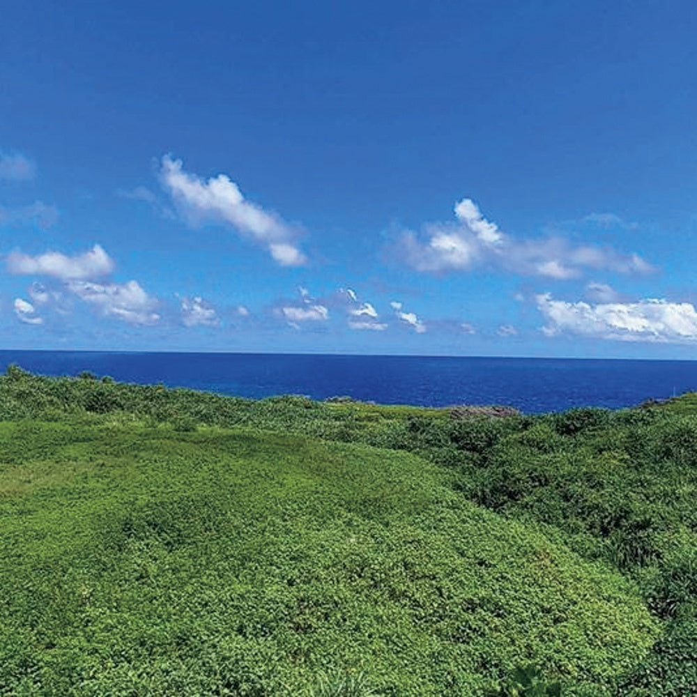 美ら島あぐー ステーキ&しゃぶしゃぶ用