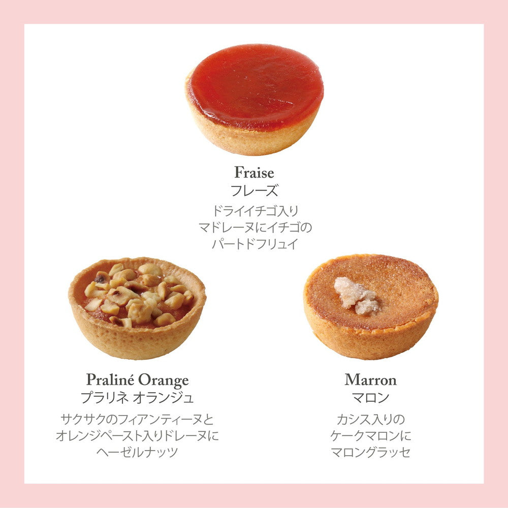 セバスチャン・ブイエ タルトレット 9個