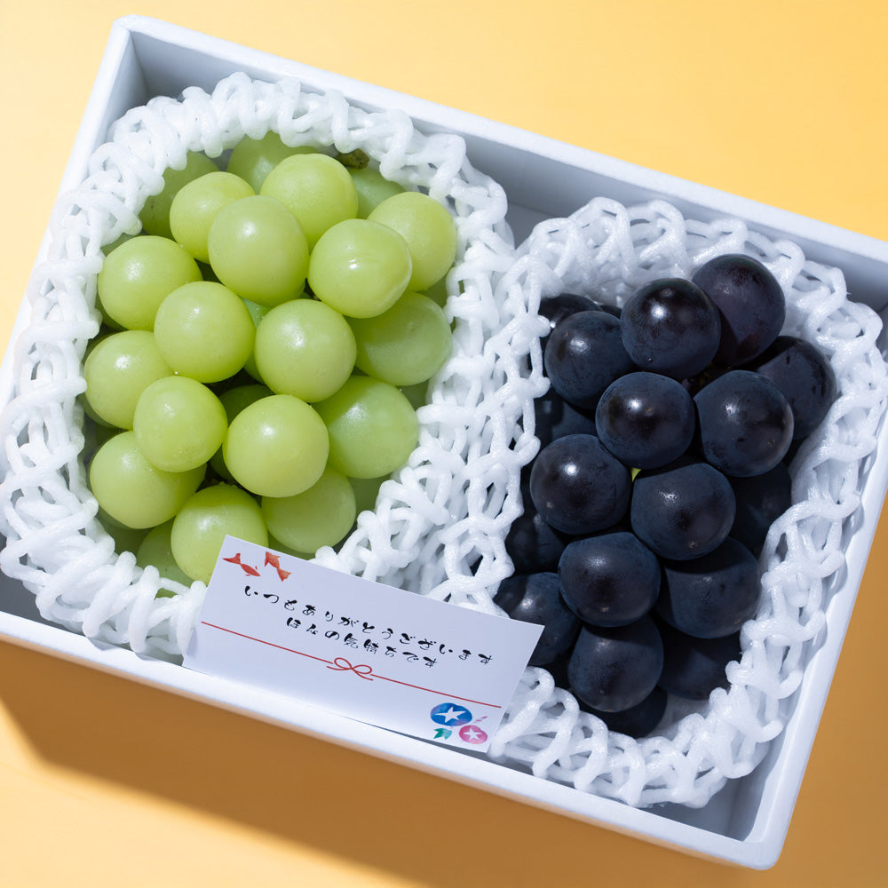【夏ギフト】フルーツ専門店 南国フルーツ ぶどう2種食べ比べセット