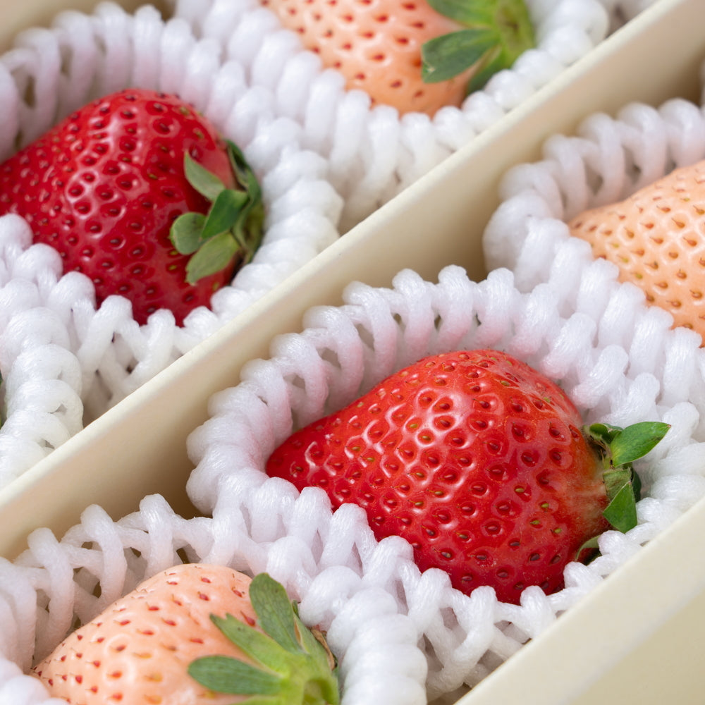 【クリスマス限定】フルーツ専門店「南国フルーツ」がセレクト 紅白苺10粒ギフト