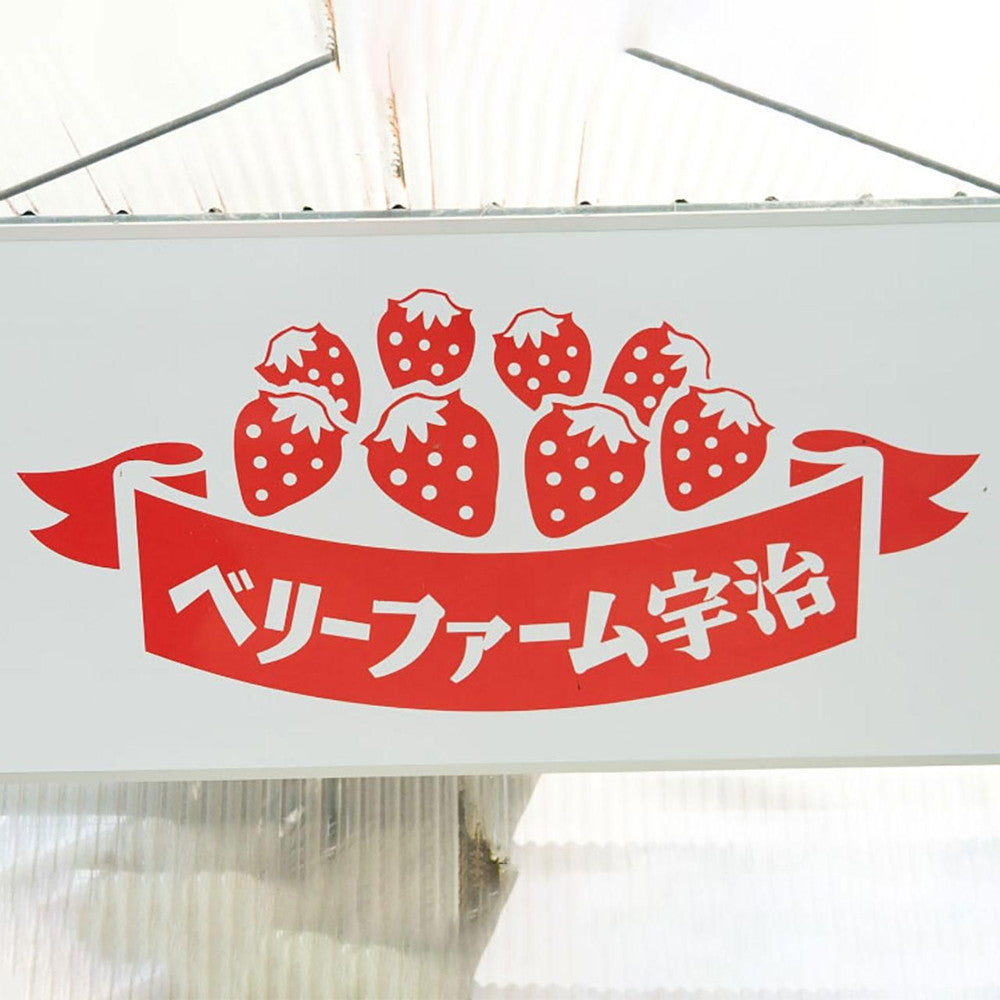 京都チーズケーキ専門店 ソラアオ　京都宇治いちごチーズケーキ