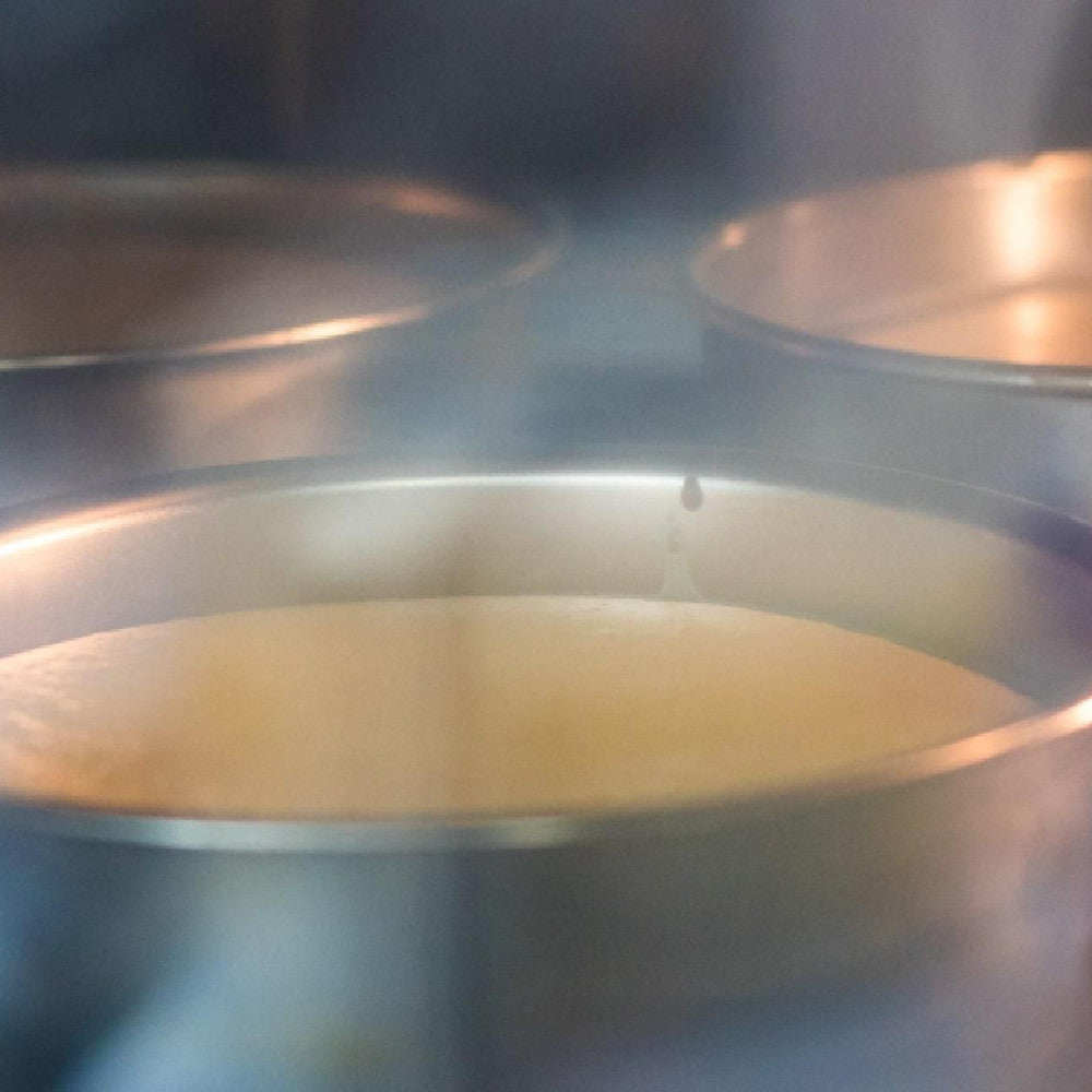 京都チーズケーキ専門店 ソラアオ　プレミアム　京都ブランドコラボ4種食べ比べ