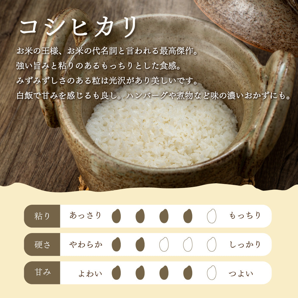 新潟県産コシヒカリ 2kg×3袋（合計6kg）