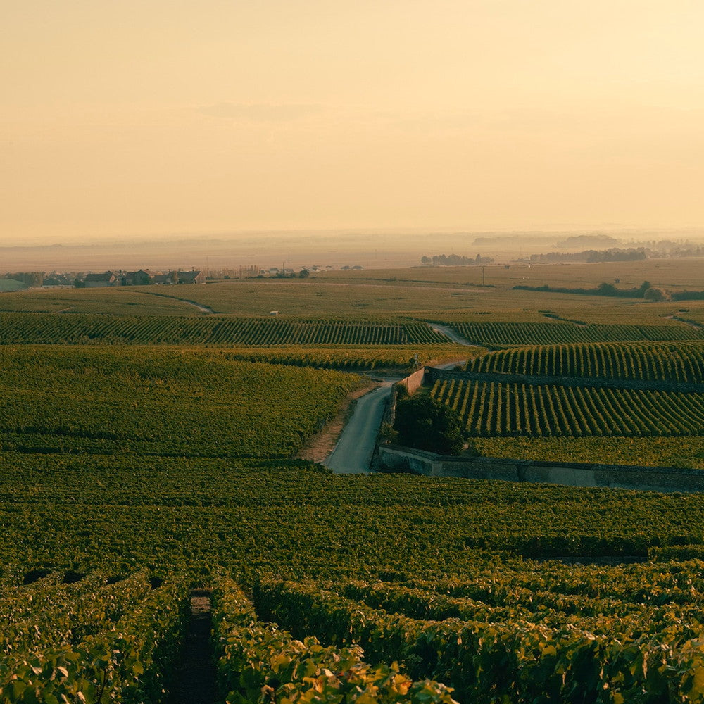 ヴーヴ クリコ ロゼ ヴィンテージ 2015 750ml(3本箱入り)